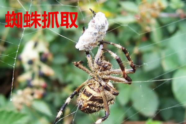 国家重点研发计划（医养结合）专项暨木瑶集团互联网医院事业说明会